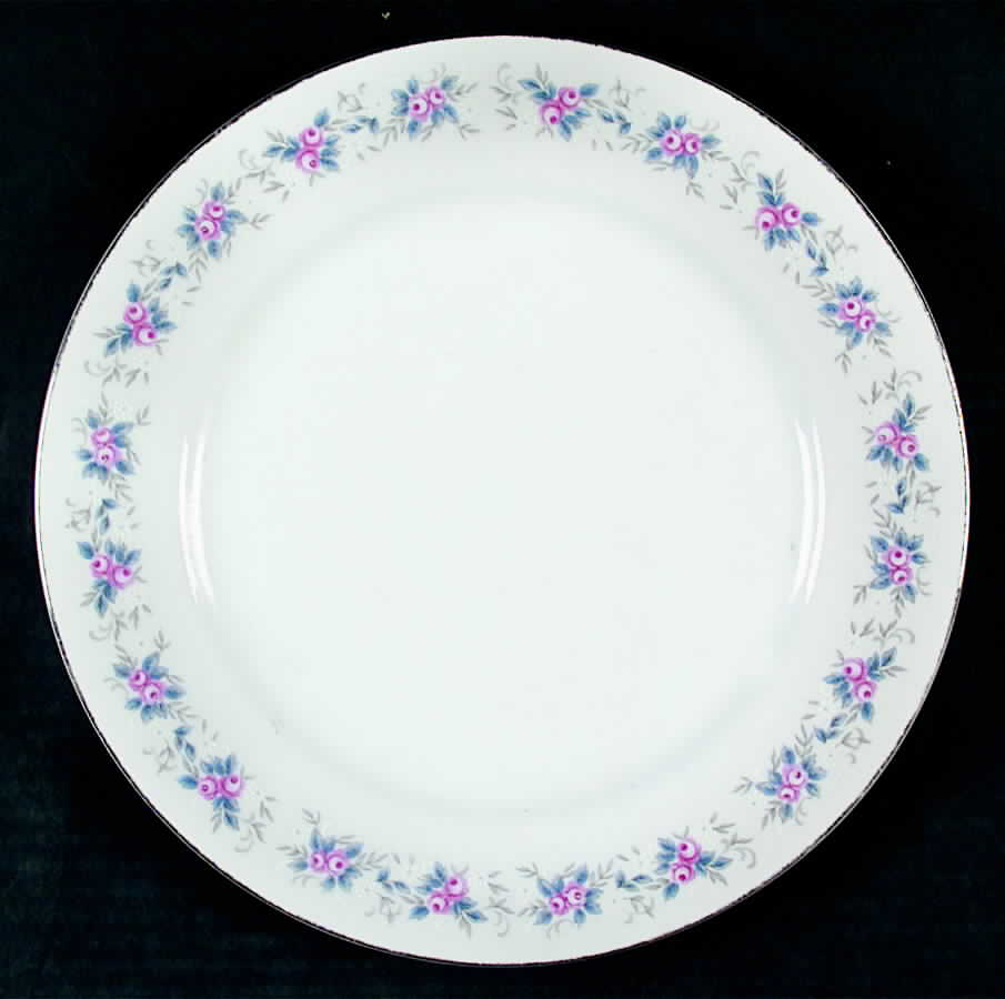 Sonata Dinner Plate by Parkleigh-1