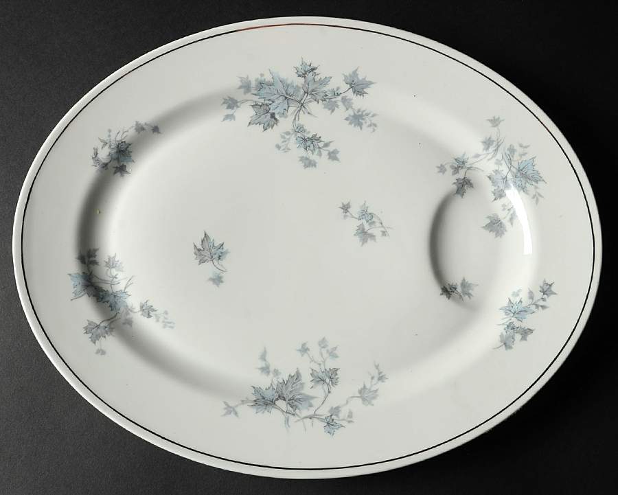 Delise 13" Oval Serving Platter by Porcelaine de Limoges-1