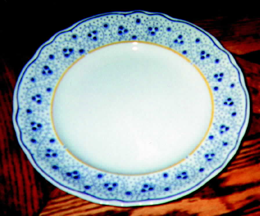 PNT3 Dinner Plate by Pontesa-1