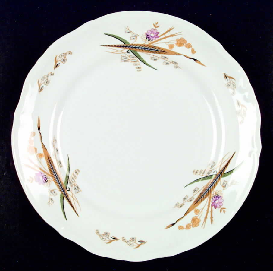 POL13 Dinner Plate by Poland-1
