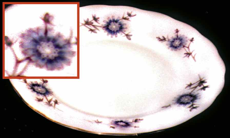 POL16 Dinner Plate by Poland-1