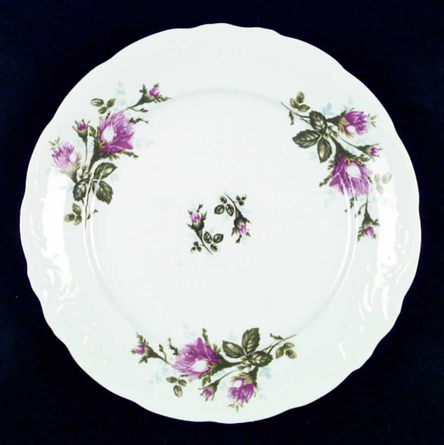 POL5 Dinner Plate by Poland-1