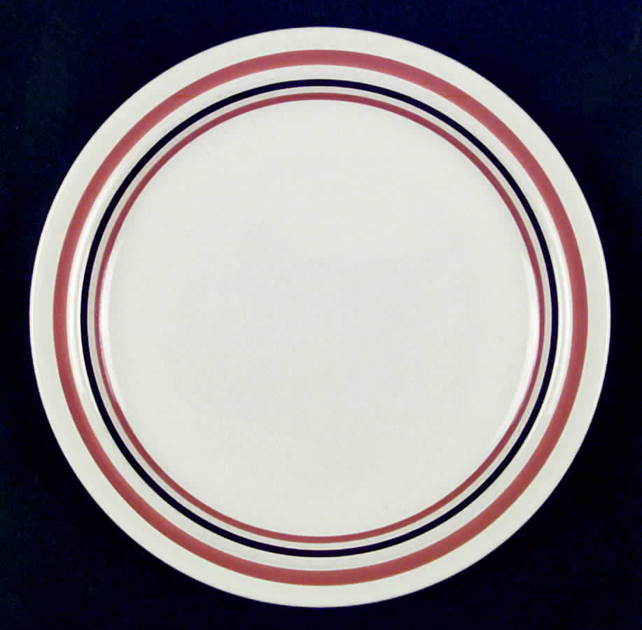Concentrics Sienna Dinner Plate by Stonecrest (JI)-1