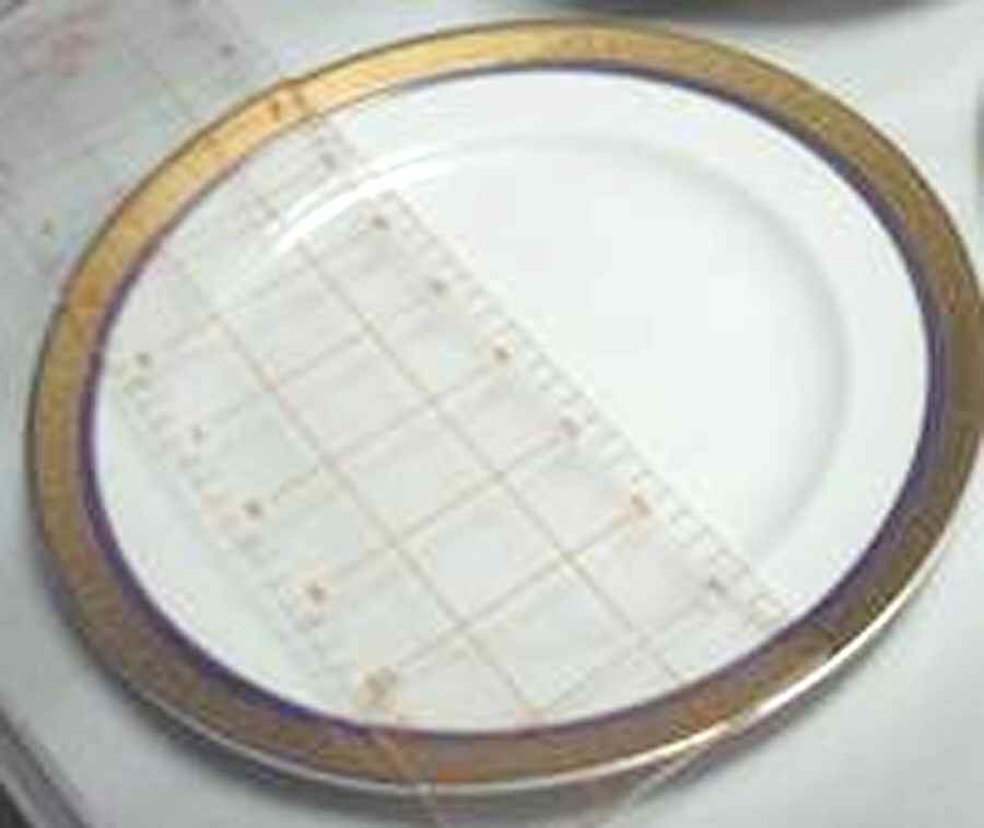 1107 Luncheon Plate by Pope Gosser-1