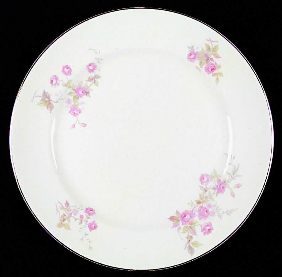 1163 Dinner Plate by Pope Gosser-1