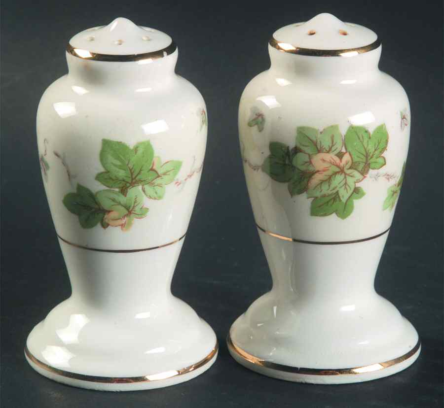 American Ivy Salt & Pepper Set by Pope Gosser-1
