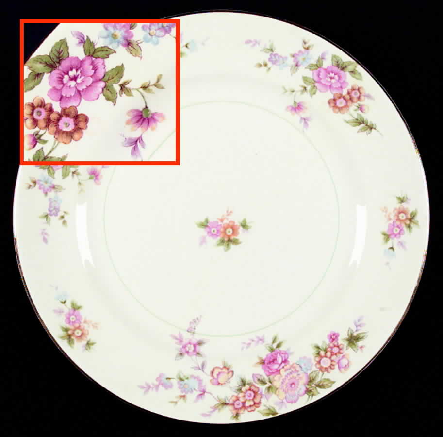 Louella Dinner Plate by Pope Gosser-1
