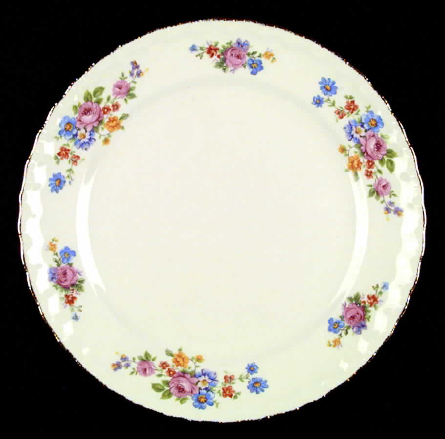 POP15 Dinner Plate by Pope Gosser-1