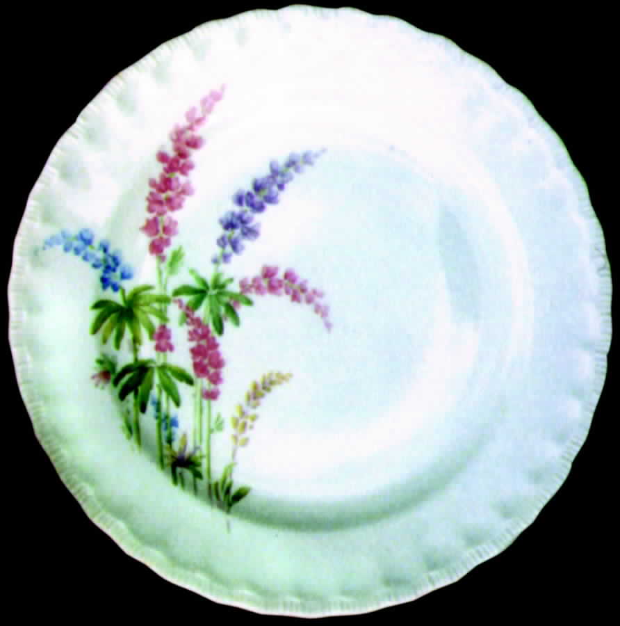 POP21 Dinner Plate by Pope Gosser-1