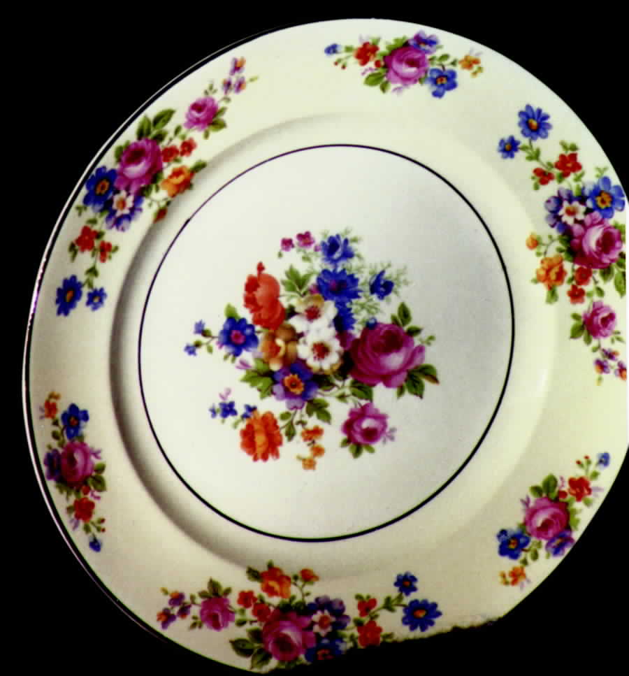 POP26 Dinner Plate by Pope Gosser-1
