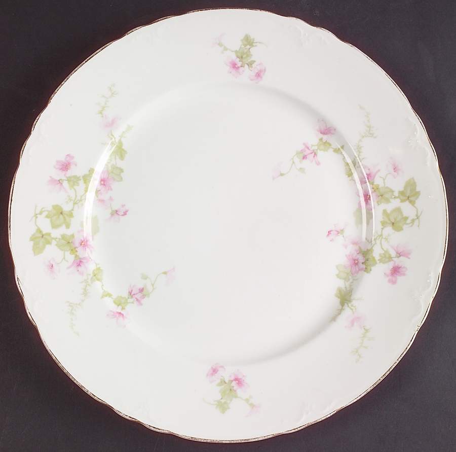 POP36 Dinner Plate by Pope Gosser-1