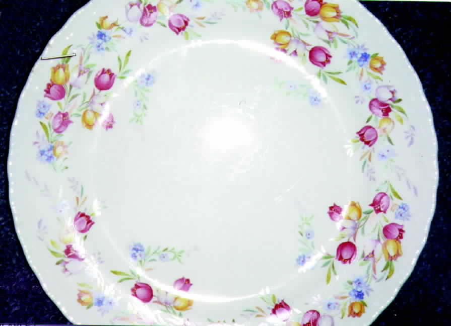 POP50 Dinner Plate by Pope Gosser-1