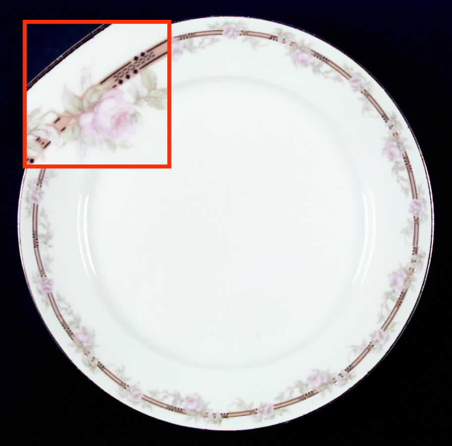 POP57 Dinner Plate by Pope Gosser-1