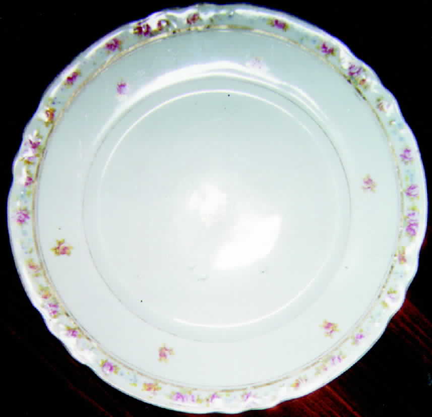 POP58 Dinner Plate by Pope Gosser-1