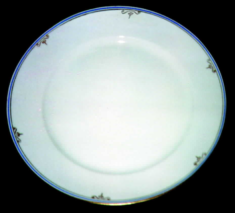 POP63 Dinner Plate by Pope Gosser-1
