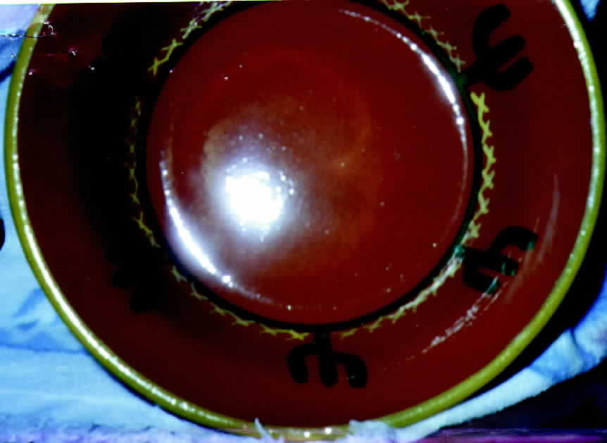 POR1 Dinner Plate by Portugal-1