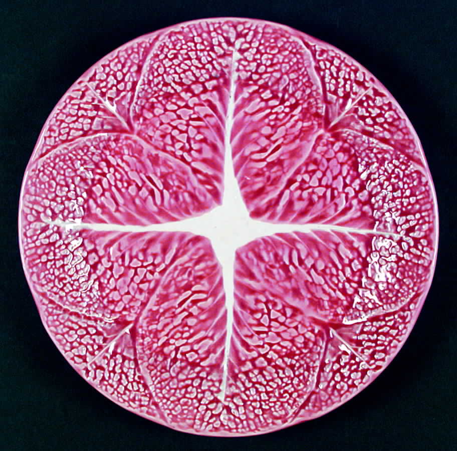 Cabbage Pink Dinner Plate by Secla-1