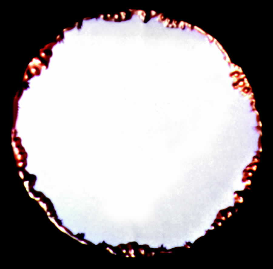 POY55 Dinner Plate by Jean Pouyat-1
