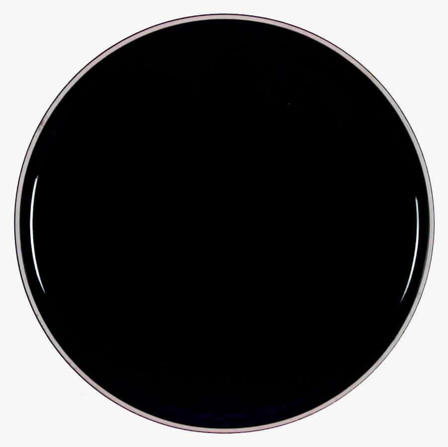 Radius Black Dinner Plate by Prisma-1