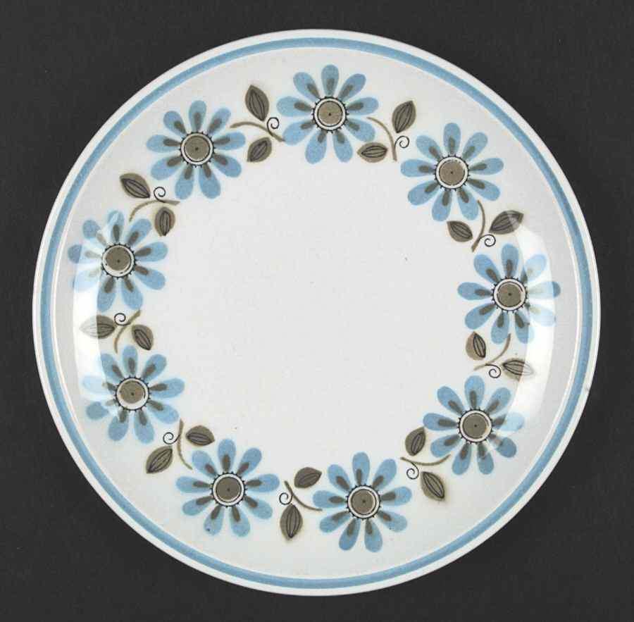 Dynamic Dinner Plate by Premiere-1