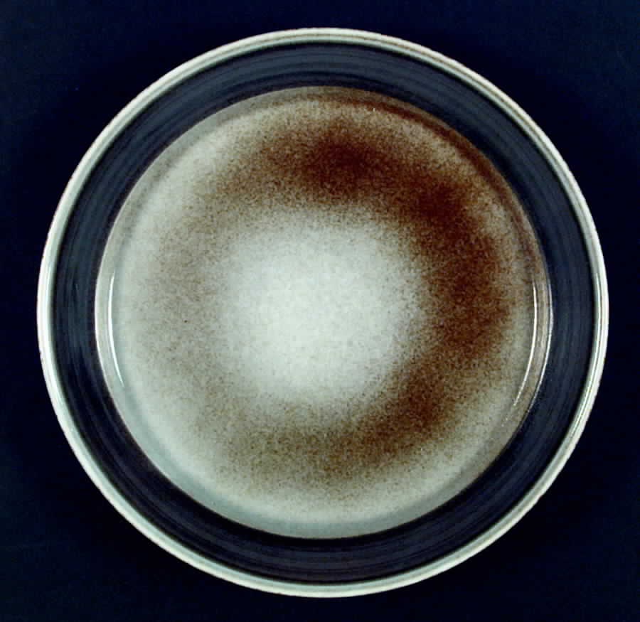 Tundra Dinner Plate by Porsgrund-1