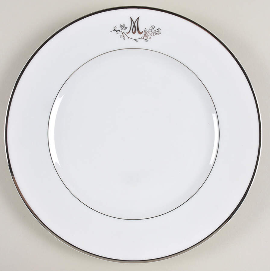 Princess Heritage (Platinum Trim) Dinner Plate by Princess House-1