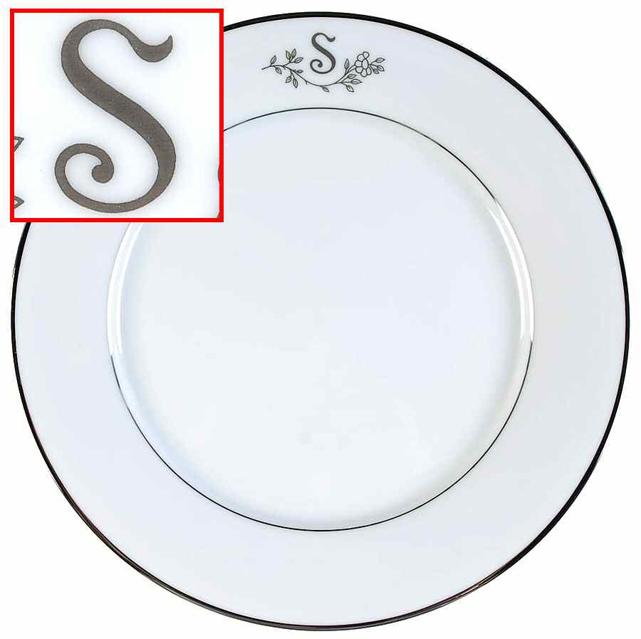 Princess Heritage (Platinum Trim) Dinner Plate by Princess House-1