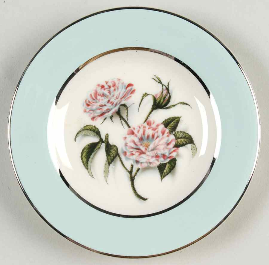 Rosa Mundi Coaster by Nancy Prentiss-1
