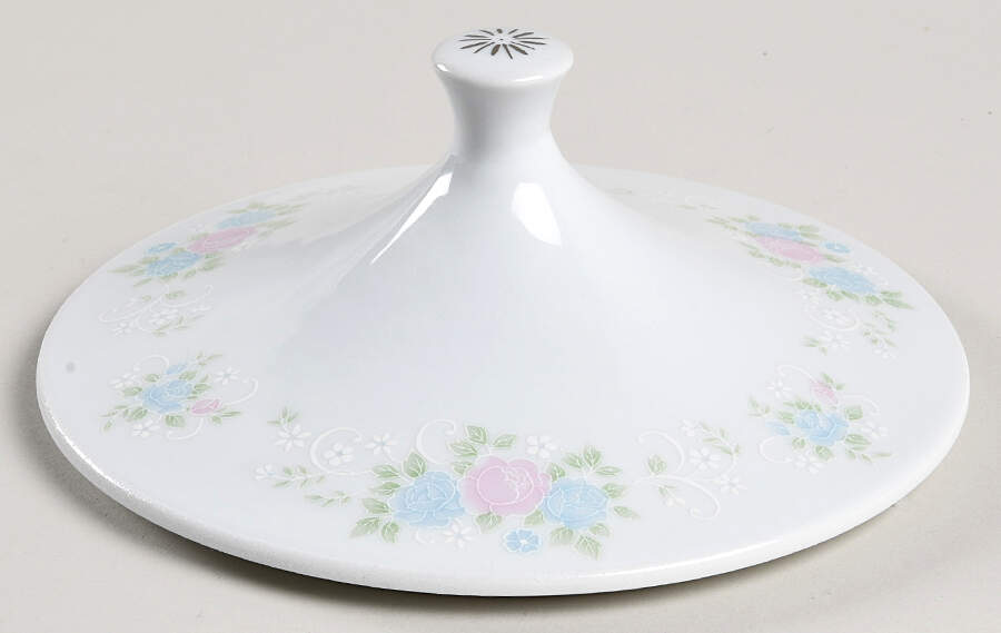 China Garden Lid for Round Vegetable by Prestige (China)-1