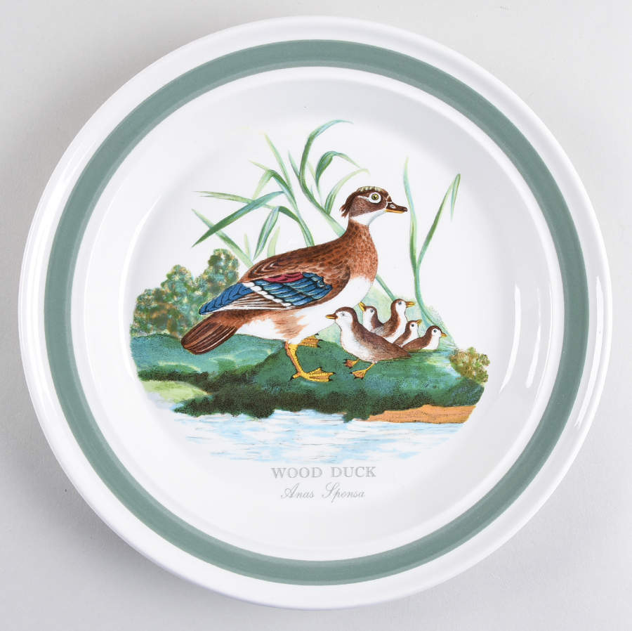 Birds of Britain Dinner Plate with Green Band by Portmeirion-1