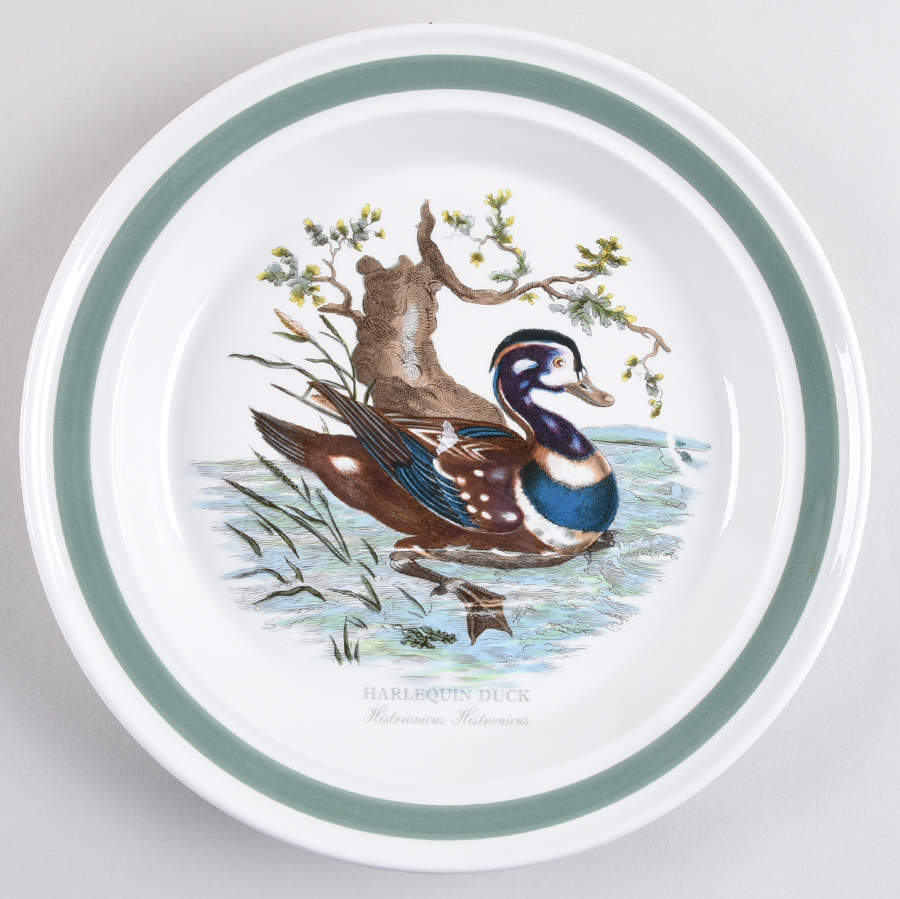 Birds of Britain Dinner Plate with Green Band by Portmeirion-1