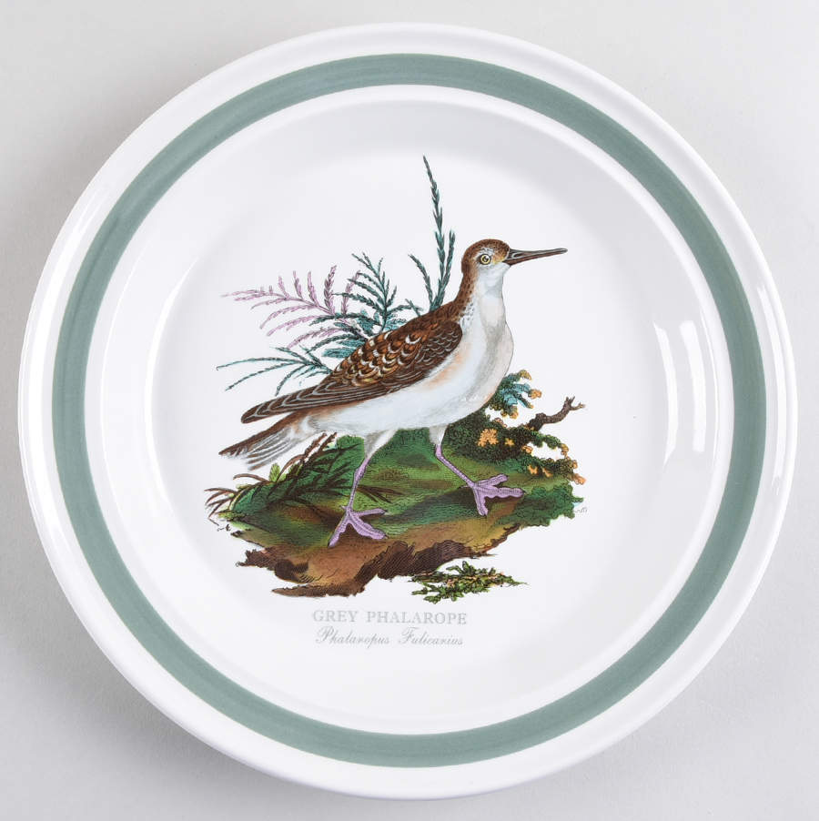 Birds of Britain Dinner Plate with Green Band by Portmeirion-1
