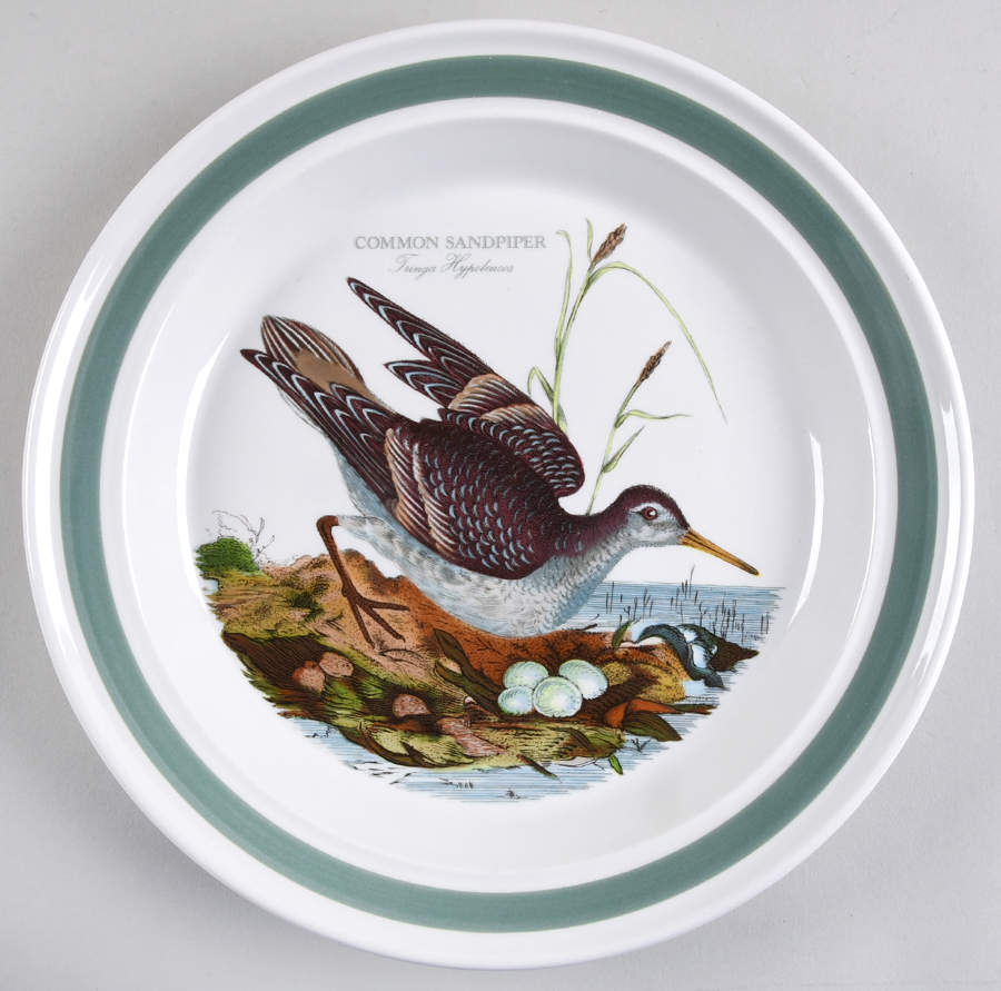 Birds of Britain Dinner Plate with Green Band by Portmeirion-1