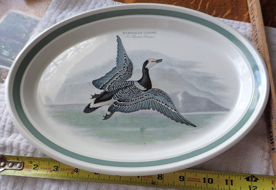 Birds of Britain 13" Oval Serving Platter with Green Band by Portmeirion-1