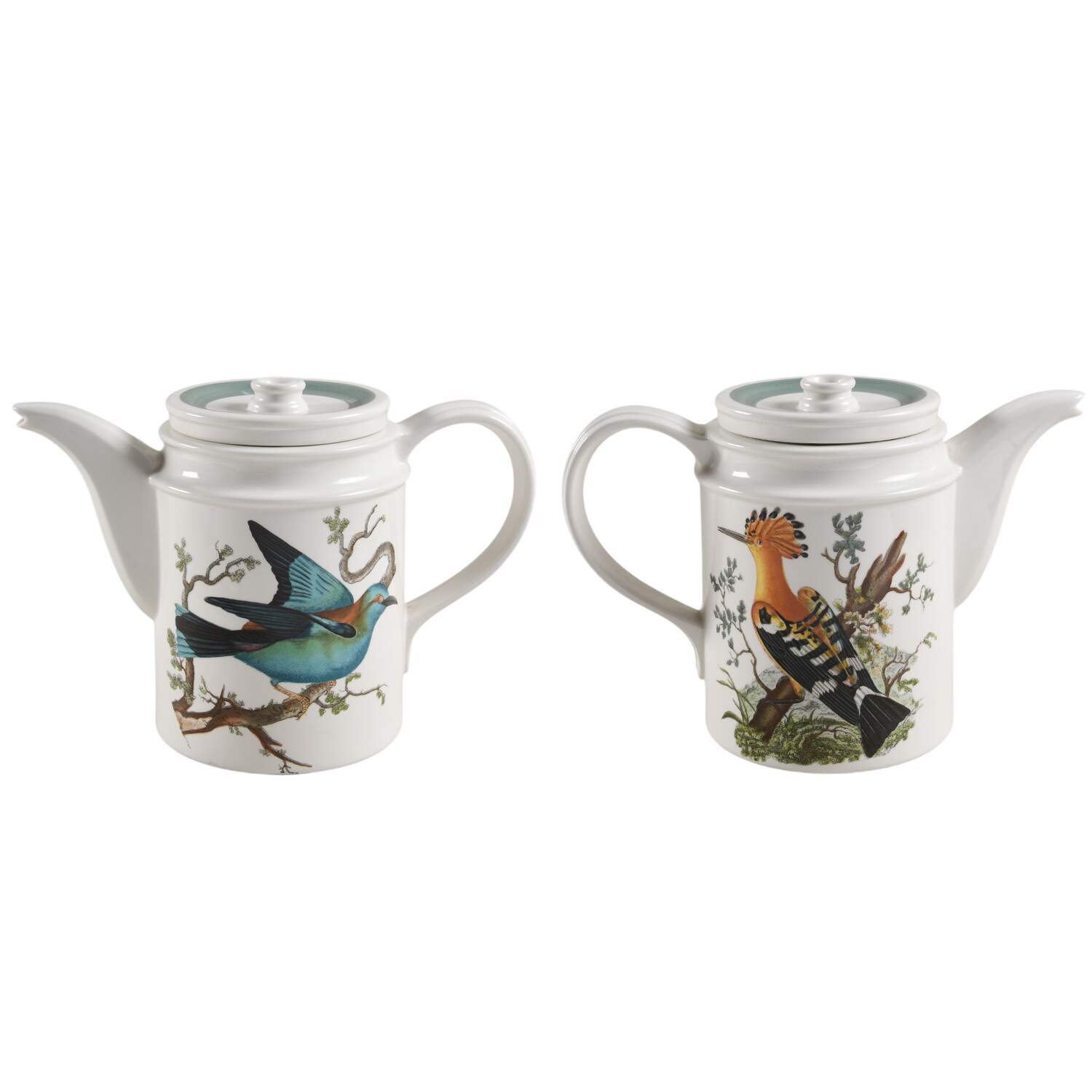 Birds of Britain Coffee Pot & Lid with Green Band by Portmeirion-1