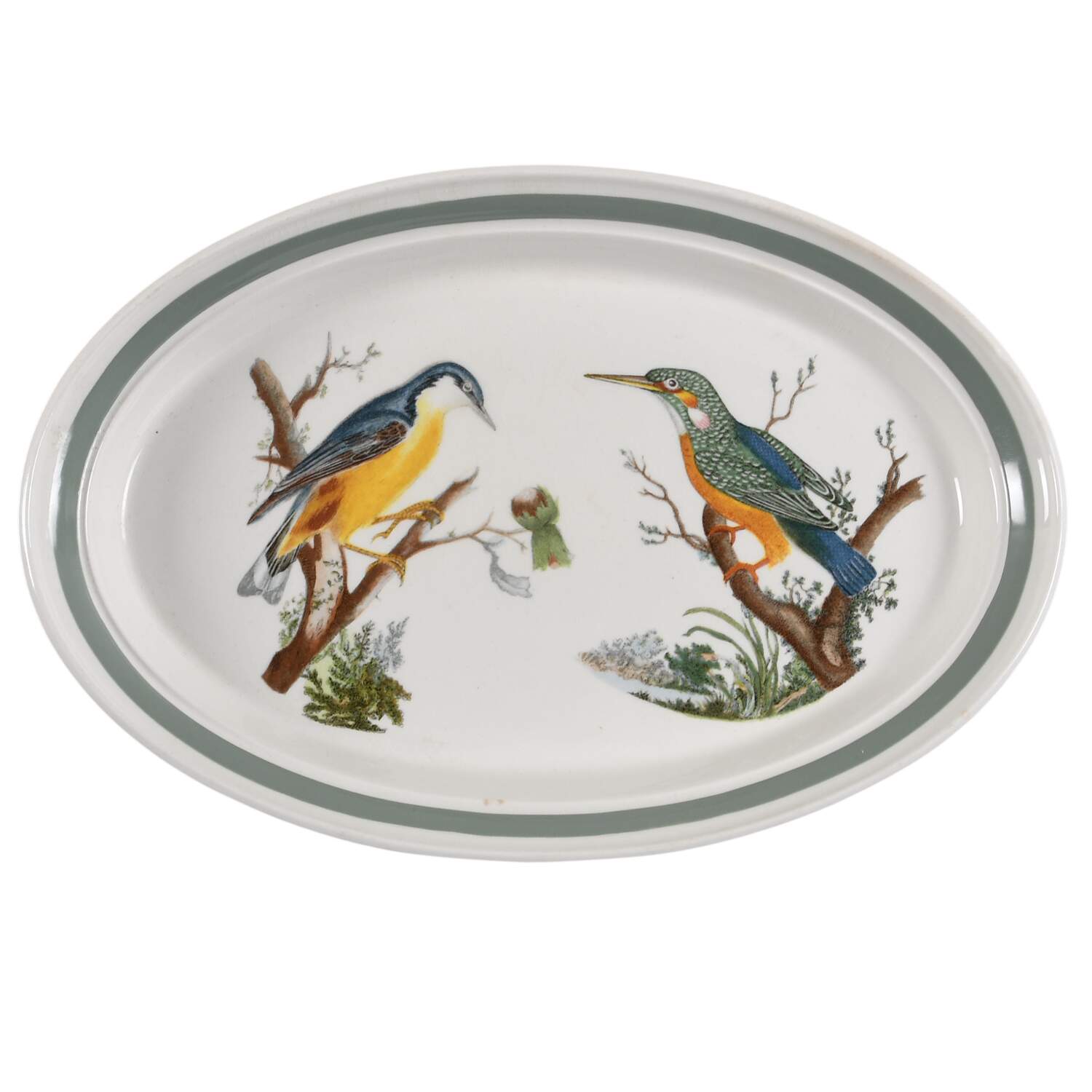 Birds of Britain 11" Oval Steak Platter with Green Band by Portmeirion-1