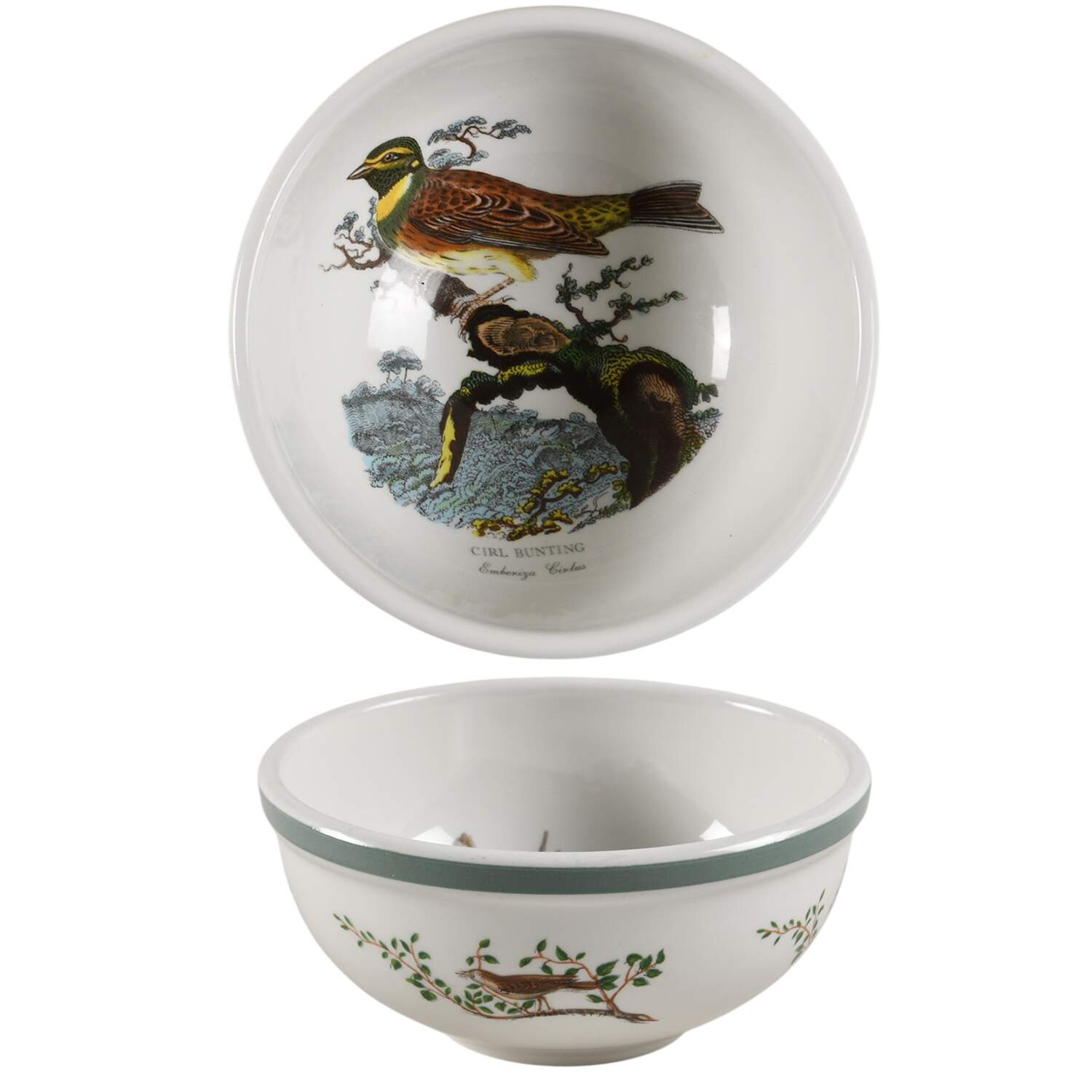Birds of Britain Individual Salad Bowl with Green Band by Portmeirion-1