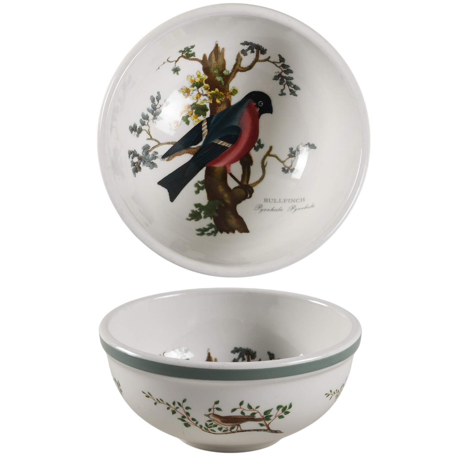 Birds of Britain Individual Salad Bowl with Green Band by Portmeirion-1