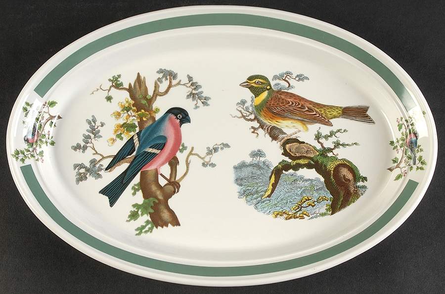Birds of Britain 11" Oval Steak Platter with Green Band by Portmeirion-1