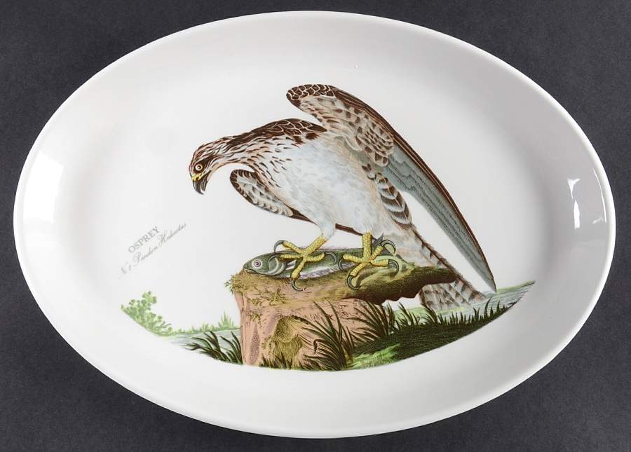 Birds of Britain 13" Oval Steak Platter by Portmeirion-1