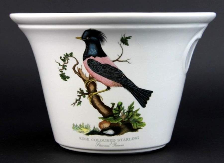 Birds of Britain 6" Flared Planter by Portmeirion-1