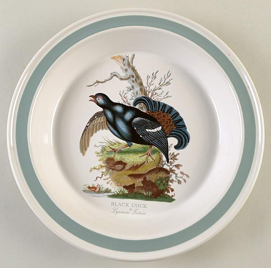 Birds of Britain 10" Pie Baking Plate with Green Band by Portmeirion-1