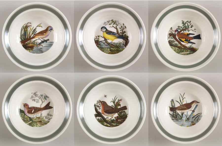 Birds of Britain Rim Cereal Bowl with Green Band- Set of 6 Motifs by Portmeirion-1