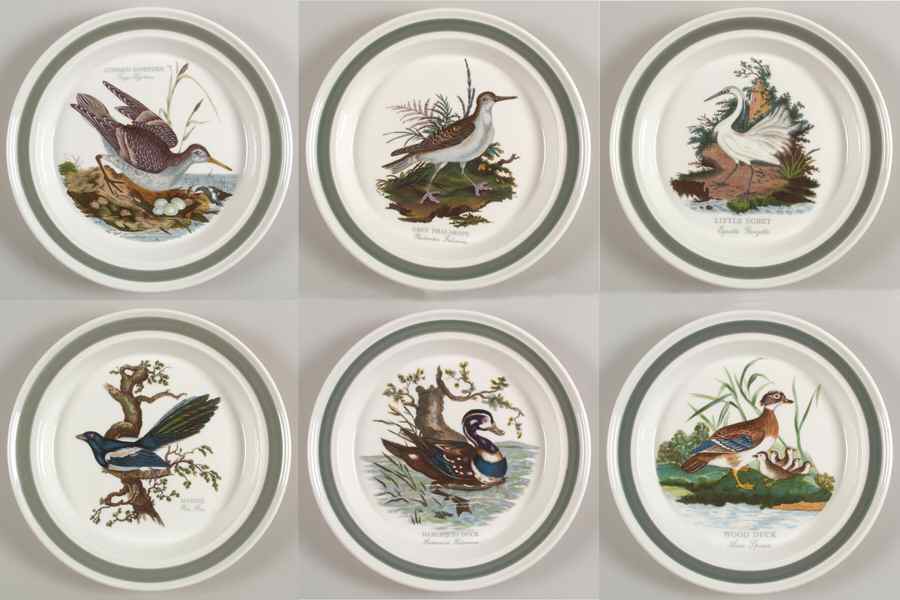 Birds of Britain Dinner Plate with Green Band - Set of 6 Motifs by Portmeirion-1