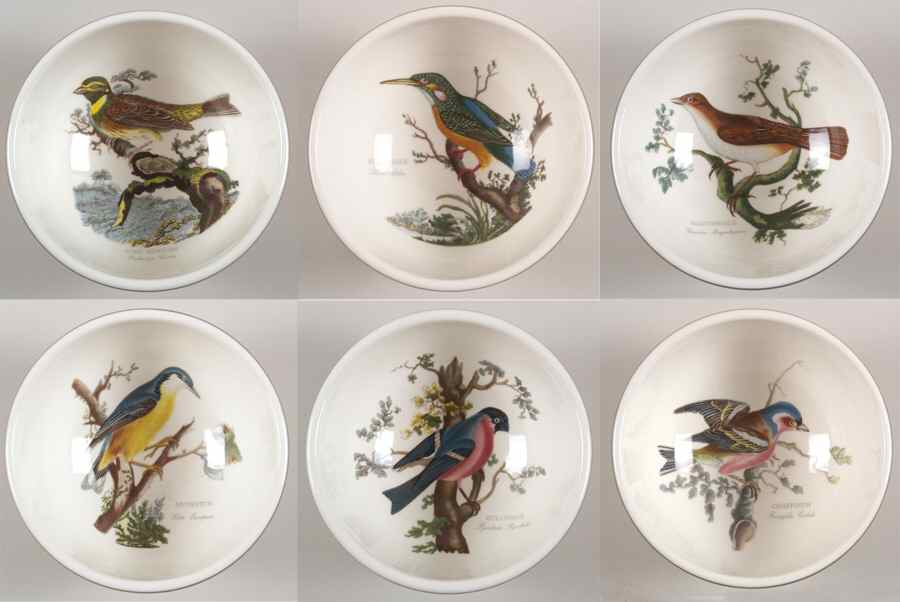 Birds of Britain ndividual Salad Bowl with Green Band - Set of 6 Motifs by Portmeirion-1