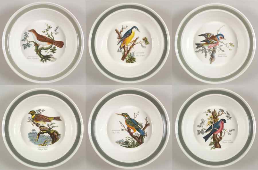 Birds of Britain Rim Soup Bowl with Green Band - Set of 6 Motifs by Portmeirion-1