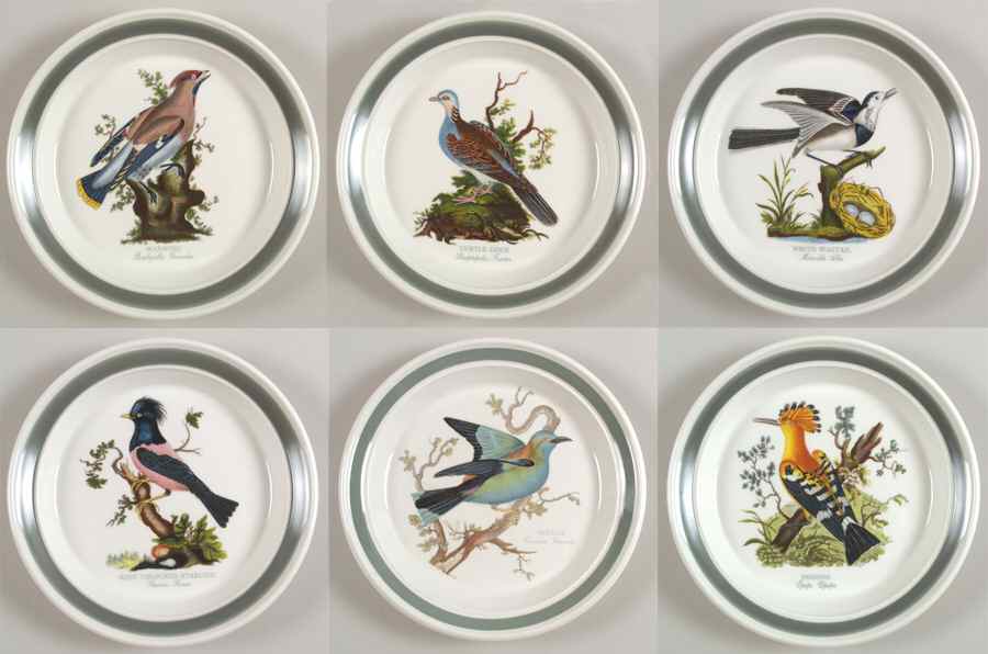 Birds of Britain Salad Plate with Green Band - Set of 6 Motifs by Portmeirion-1
