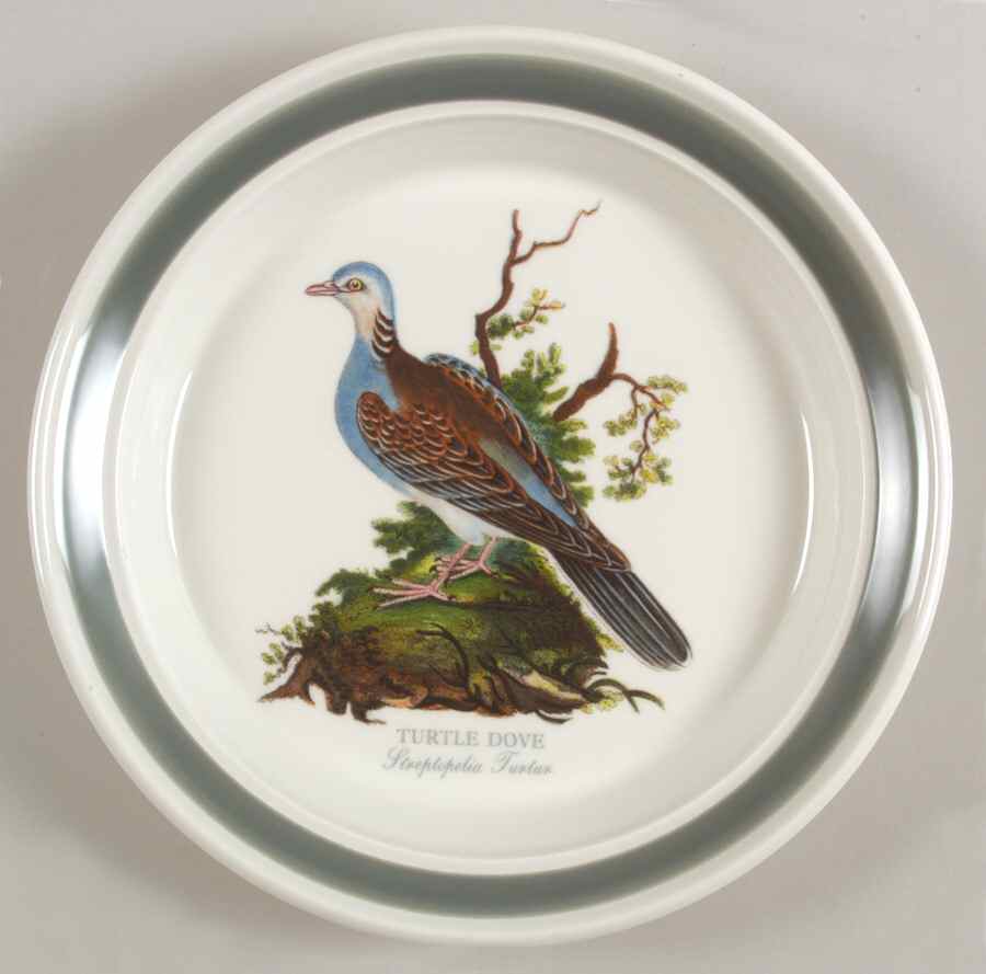 Birds of Britain Salad Plate with Green Band by Portmeirion-1