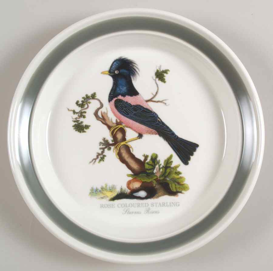 Birds of Britain Salad Plate with Green Band by Portmeirion-1