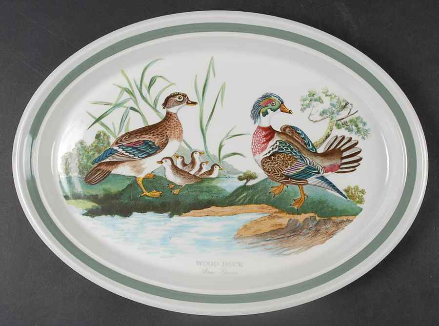Birds of Britain 13" Oval Serving Platter with Green Band by Portmeirion-1